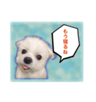 daifukuken（個別スタンプ：4）