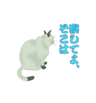野良猫八態（個別スタンプ：2）
