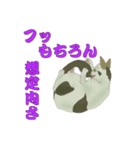野良猫八態（個別スタンプ：5）
