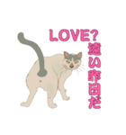 野良猫八態（個別スタンプ：7）