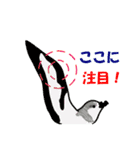 日本の野鳥珍鳥迷鳥とか（個別スタンプ：2）