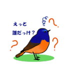 日本の野鳥珍鳥迷鳥とか（個別スタンプ：3）
