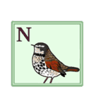 日本の野鳥珍鳥迷鳥とか（個別スタンプ：5）
