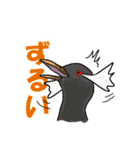 日本の野鳥珍鳥迷鳥とか（個別スタンプ：10）