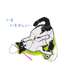 ぐんにょりにゃんこ（個別スタンプ：26）