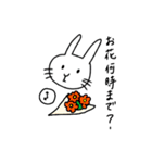 おけいこうさぎ 茶道（個別スタンプ：9）