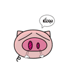 Wonka : pig's head and hands.（個別スタンプ：24）