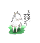 馬好きの馬好きによる馬好きの為のスタンプ（個別スタンプ：6）