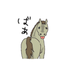 馬好きの馬好きによる馬好きの為のスタンプ（個別スタンプ：11）