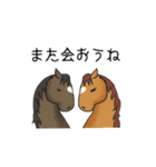 馬好きの馬好きによる馬好きの為のスタンプ（個別スタンプ：13）