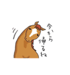 馬好きの馬好きによる馬好きの為のスタンプ（個別スタンプ：16）