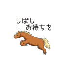 馬好きの馬好きによる馬好きの為のスタンプ（個別スタンプ：30）