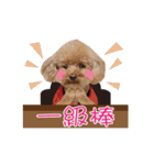 Poodle Queen3_a cute little girl（個別スタンプ：8）