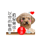 Poodle Queen3_a cute little girl（個別スタンプ：17）