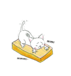 グレート猫 小春さん（個別スタンプ：18）