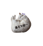 あめこっこ（個別スタンプ：13）