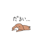 とてとてビーグル1（個別スタンプ：3）