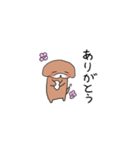 とてとてビーグル1（個別スタンプ：13）