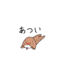 とてとてビーグル1（個別スタンプ：40）