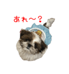 チビゆたスタンプ（個別スタンプ：28）