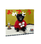 黒犬くぅた（個別スタンプ：4）