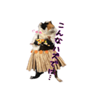 モルモットのすーちゃんとぺっしと仲間達（個別スタンプ：40）