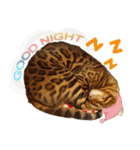 A-Hu is a cute cat（個別スタンプ：12）