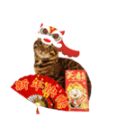 A-Hu is a cute cat（個別スタンプ：14）