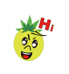 Bromeliad head boy（個別スタンプ：1）