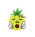 Bromeliad head boy（個別スタンプ：2）