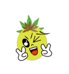 Bromeliad head boy（個別スタンプ：3）
