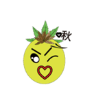 Bromeliad head boy（個別スタンプ：4）