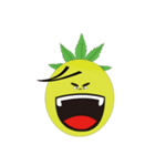 Bromeliad head boy（個別スタンプ：5）