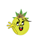 Bromeliad head boy（個別スタンプ：6）