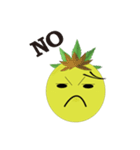 Bromeliad head boy（個別スタンプ：7）