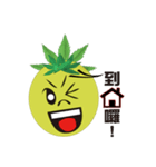 Bromeliad head boy（個別スタンプ：10）