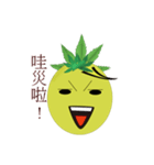 Bromeliad head boy（個別スタンプ：12）