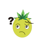 Bromeliad head boy（個別スタンプ：14）