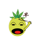 Bromeliad head boy（個別スタンプ：15）