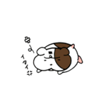 ハムスターず（個別スタンプ：8）