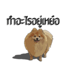 Nickey PomPom（個別スタンプ：11）