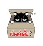 Naughty little black cat（個別スタンプ：5）