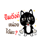 Naughty little black cat（個別スタンプ：13）