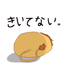 イケメンうさぎのペットはライオン（個別スタンプ：8）