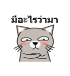 Meaw Meaw Lovely Cat（個別スタンプ：2）