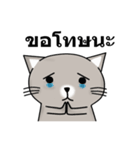 Meaw Meaw Lovely Cat（個別スタンプ：13）
