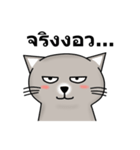 Meaw Meaw Lovely Cat（個別スタンプ：24）