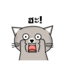 Meaw Meaw Lovely Cat（個別スタンプ：30）