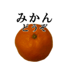 みかんですよ。（個別スタンプ：1）