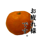 みかんですよ。（個別スタンプ：3）